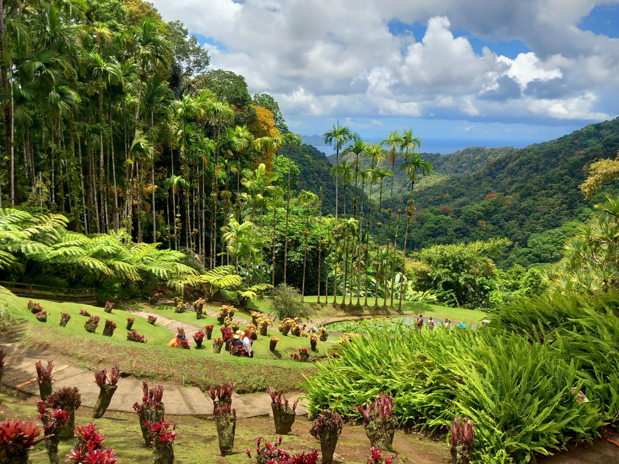 Point de vue sur le cap Salomon et les pitons du Carbet depuis le jardin de Balata, en Martinique.